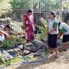 Home gardening program implemented in the office premises